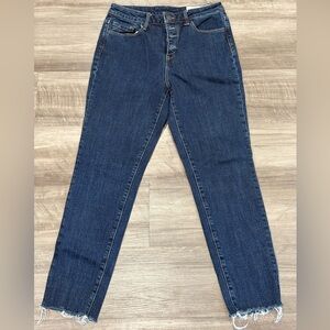 Treasure & Bond High Rise Skinny Jeans | Size 27 | Button Fly Raw Hem